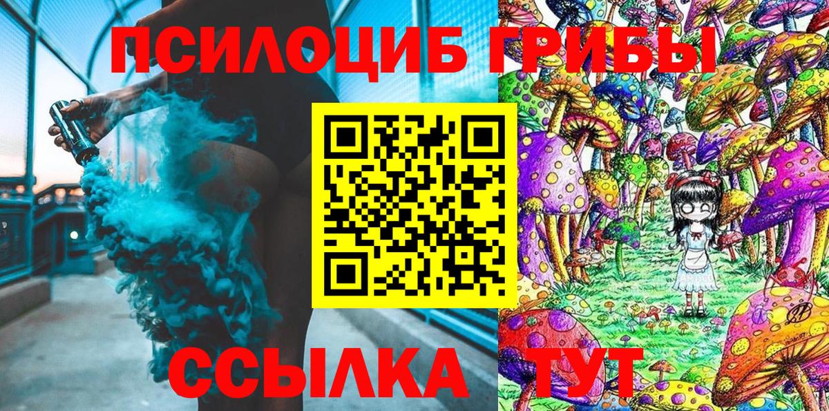 Псилоцибиновые грибы мицелий  Вход с VPN  Кудымкар 